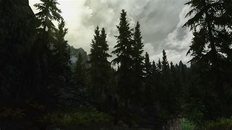 Green Larch Tree The Elder Scrolls V Skyrim Video Games HD Wallpaper