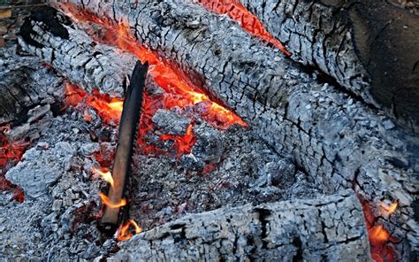 3 Modi Per Riutilizzare La Cenere Del Camino EPellet Italia