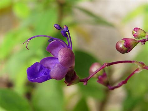 Untitled | msek | Flickr