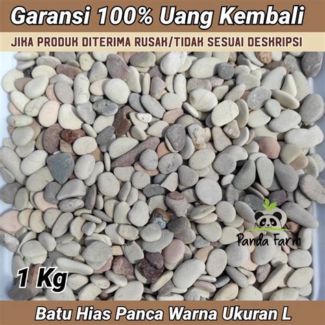 Jual Batu Alam Koral Tabur Kerikil Hias Panca Warna Ukuran L Kg