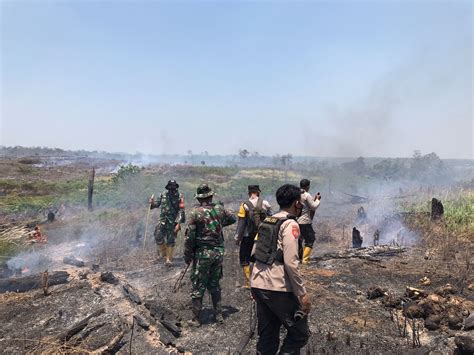 Hotspot Karhutla Terpantau Satelit Hektar Lahan Terbakar Di