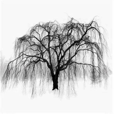 weeping willow tree tattoos 3
