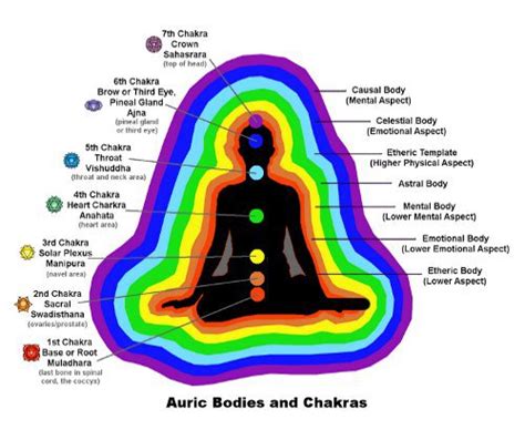 Aura And Chakra Theosophical Society In Milwaukee