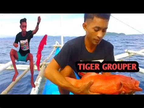 Di Inasahan Nakajackpot Nanaman Nang Red Grouper Catch Sell