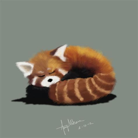 AplusArt: Red Panda -Sleeping