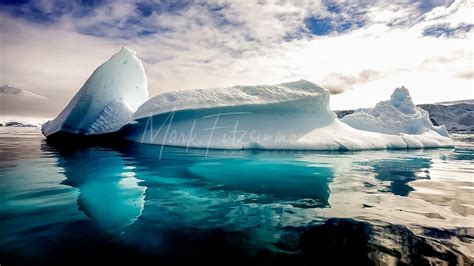 Iceberg – Antarctica | Mark Fitzsimmons Photography