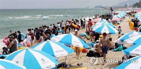 산·바다·계곡으로강원 피서객 215만명 인산인해종합 네이트 뉴스