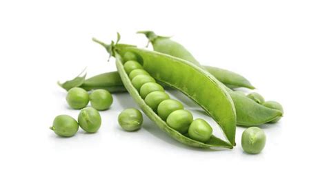 Peas – Green & Yellow – Rus Agro Trade