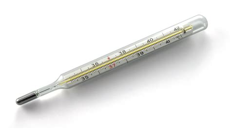 Who invented the first thermometer that used mercury? | QuizGriz