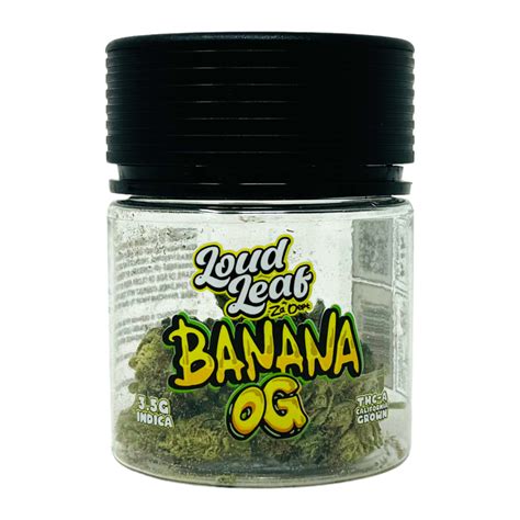 LOUD LEAF ZA DEPT THC A FLOWER 3 5GM JAR Vape Plus