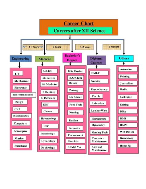 career plan chart