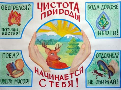 Плакат по экологии. Область знаний: экология, доп. образование детей ...
