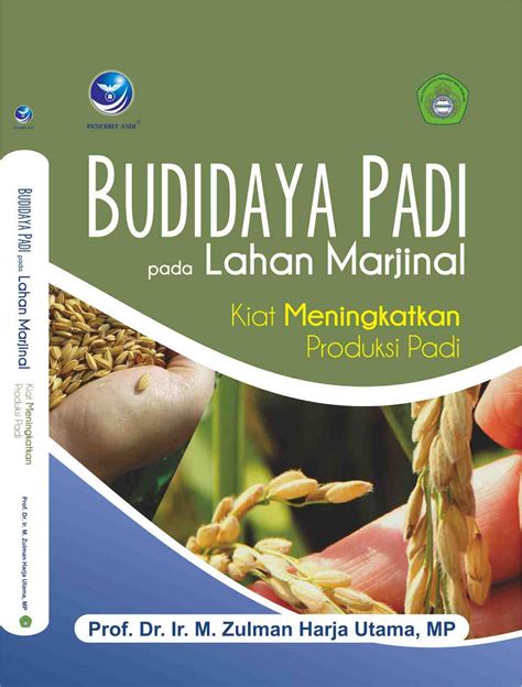 Buku Budidaya Padi Pada Lahan Marjinal Kiat Meningkatkan Produksi Padi