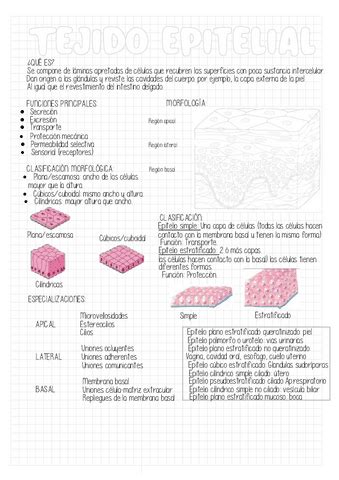 Tejido Epitelial Pdf