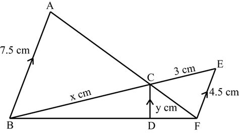 In The Given Figure We Have Ab Cd Ef If Ab Cm Cd X Bd