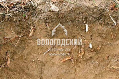 Виды грунтов | ООО «Вологодский Северный Лес»