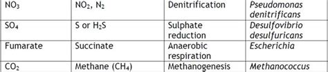 Ambe 101 Lecture 05