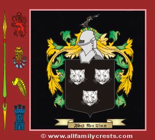 Magee family crest and meaning of the coat of arms for the surname ...