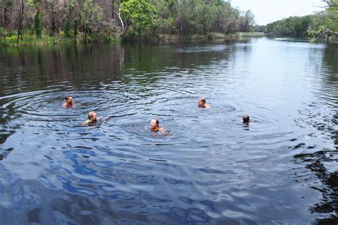 Noosa Everglades Canoe Explorer East Coast Tours Australia