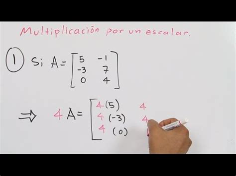 Multiplicaci N Por Un Escalar En Una Matriz