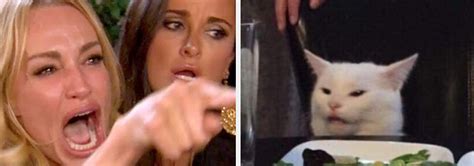 Woman Cat Meme Explained