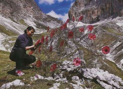 Dolomia Art Una Rassegna D Arte All Aria Aperta Sulle Dolomiti