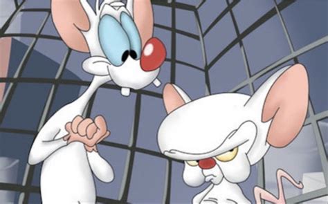 Pinky Y Cerebro Regresan Y Mickey Mouse Es El Gran Ganador