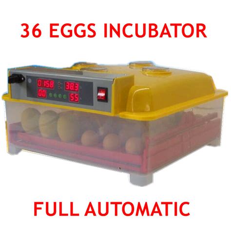 Small Fully Automatic Chicken Egg Incubator For Eggs China Egg