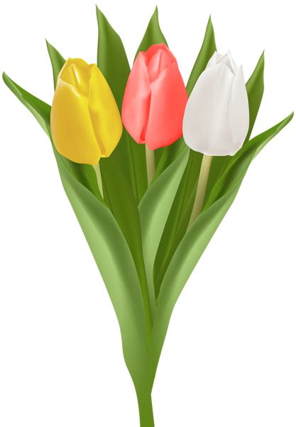 Bouquet With Tulips Clip Art Image Tulips Clip Art Art Images