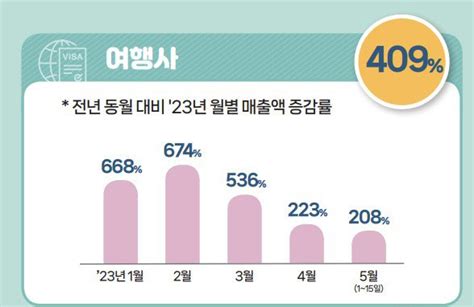 올들어 여행사 카드 매출액 400 넘게 늘어kb국민카드 해외여행 관련 업종 소비데이터 분석 결과 발표 네이트 뉴스