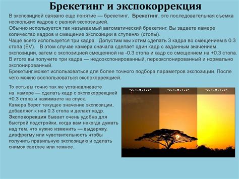 Общий курс цифровой фотографии - презентация онлайн