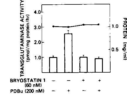 Figure From Partial Parallelism And Partial Blockade By Bryostatin