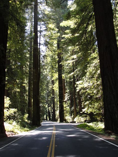 NORTHERN CALIFORNIA-Highway 101 - Berkeley and Beyond