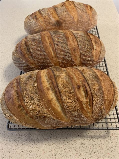 Sourdough Bake Sourdough