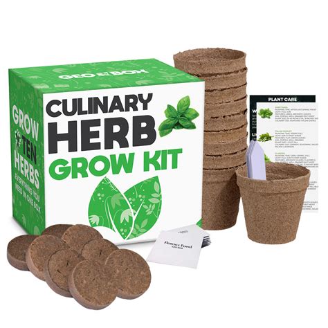 Culinary Herb Garden Kit Easily Grow 10 Culinary Herbs With Etsy