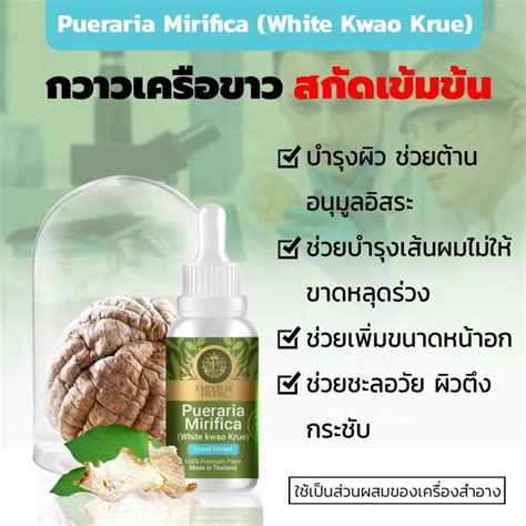 กวาวเครือขาว Pueraria Mirifica Extracted High Concentration สารสกัด