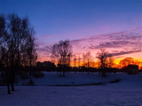 Bildet Bilder Sky atmosfære naturlandskap snø gren tre