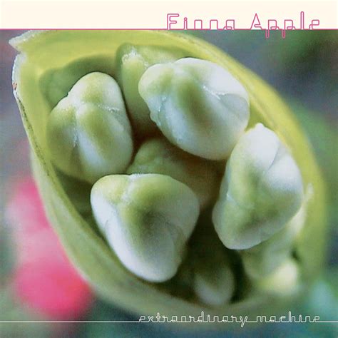 FIONA APPLE - Extraordinary Machine (2023 Reissue) - 2LP - 180g Vinyl