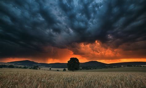 wallpaper landscape sunset nature sky field clouds sunrise