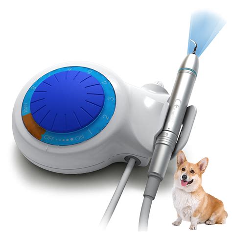 Veterinary Dental Equipment Ultrasonic Scaler Home Use Portable LED Ultrasonic Dental Scaler for ...