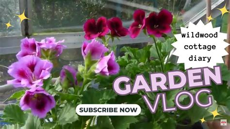 Garden Vlog The Polytunnel Space Wildwood Cottage Diary