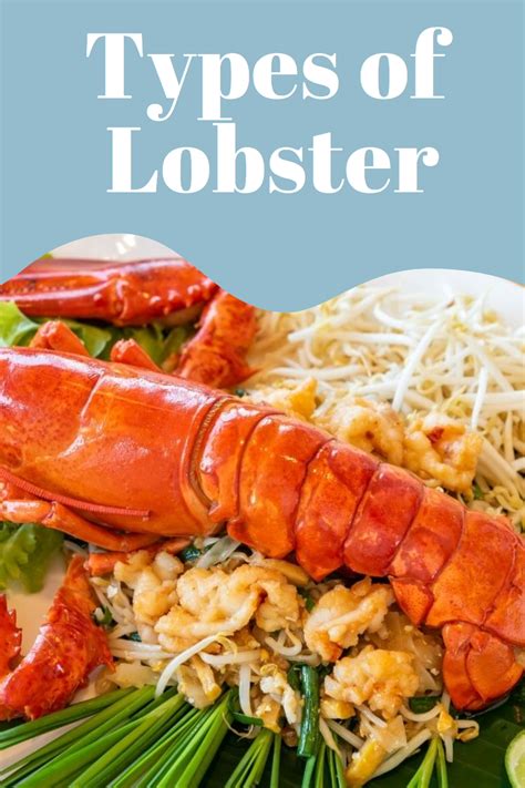 What Does Lobster Taste Like Artofit