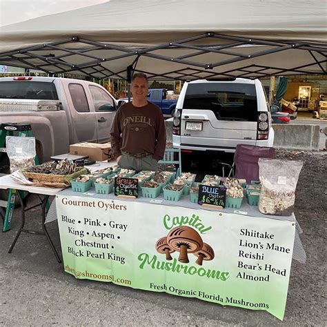 How To Sell Mushrooms Successfully For A Profitable Side Business - RYZE Superfoods