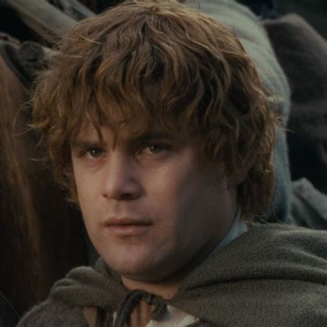 Hobbit Samwise Gamgee 10
