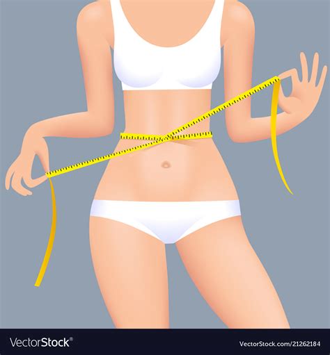 Sexual Womans Body In Underwear With Waist Vector Image