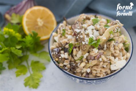 Orzo Con Melanzane Fresco E Leggero Forno E Fornelli