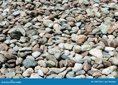 River Cobble Stone Stock Photo Image Of Stony Ground 15857540