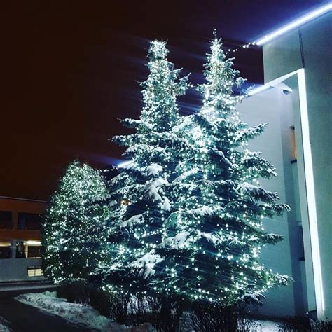 Светодиодная подсветка елок ФОК Серебрянка Минск