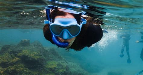 Lanzarote Tour Guiado De Snorkel En Papagayo Getyourguide