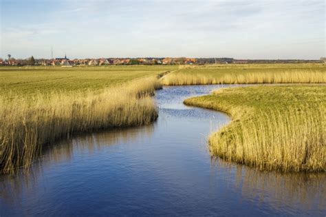 Samen Aan De Slag Voor Een Klimaatbestendig Frysl N